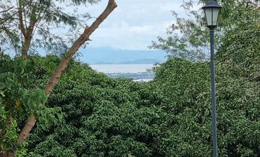 **buyer only** ayala westgrove heights lot 482 with laguna lake view