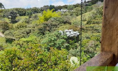 FINCA EN RIONEGRO