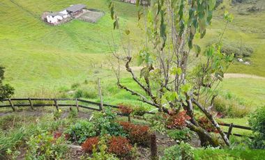 FINCA EN RIONEGRO
