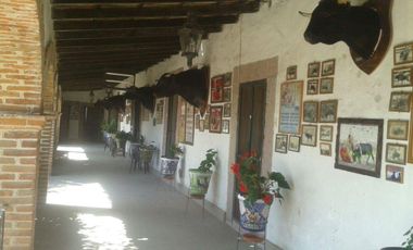hacienda ganadera en venta