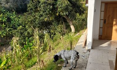 APARTAMENTO EN RIONEGRO
