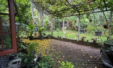 Rumah Dijual di Jl Ahmad Yani, Bogor, Jawa Barat, Lokasi Bagus, Lingkungan Nyaman
