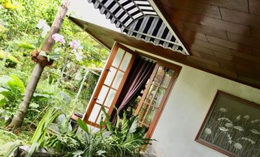 Rumah Dijual di Jl Ahmad Yani, Bogor, Jawa Barat, Lokasi Bagus, Lingkungan Nyaman