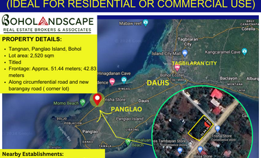Lot for Sale located in Tangnan, Panglao Island, Bohol (Ideal for Residential and Commercial Use)