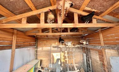 Se vende casa con frutales en La Montaña de Teno, Curicó