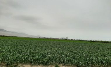 TERRENO EN VENTA CHANCAY MEGAPUERTO  DE 35,000 m2 PANAMERICANA NORTE