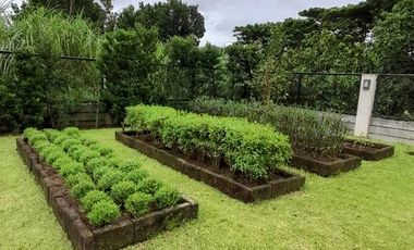 CBN - FOR SALE: 3 Bedroom House in Hacienda Santa Monica, Barrio of Latag and Patay, Lipa