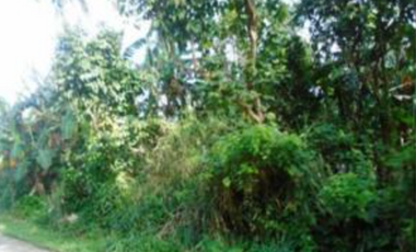 Various vacant lots Bay and Calauan Laguna
