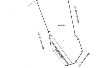 2.8 Hectares Commercial Lot Ala-uli ,Pilar Bataan