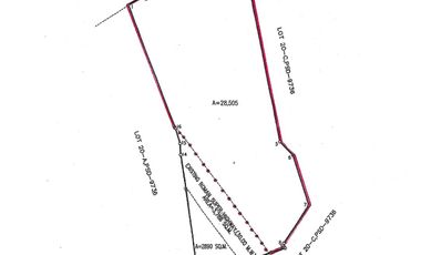 2.8 Hectares Commercial Lot Ala-uli ,Pilar Bataan