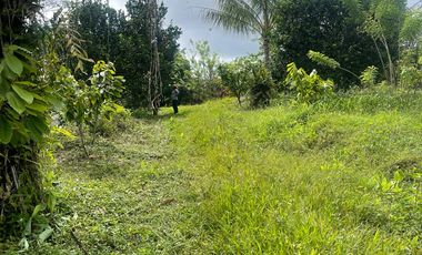 Venta finca en Puerto Quito 25 hectareas