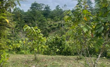 Venta finca en Puerto Quito 25 hectareas