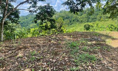 Venta finca en Puerto Quito 25 hectareas