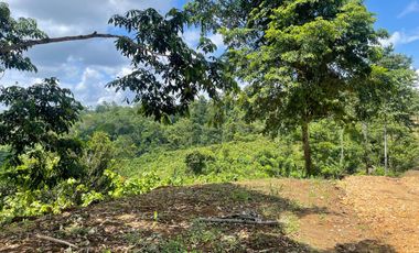 Venta finca en Puerto Quito 25 hectareas