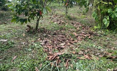 Venta finca en Puerto Quito 25 hectareas