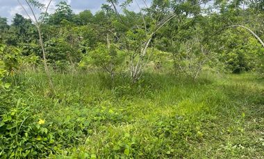 Venta finca en Puerto Quito 25 hectareas