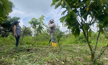Venta finca en Puerto Quito 25 hectareas