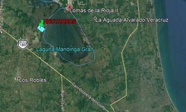 SE VENDEN 10 HECTAREAS A ORILLA DE LAGUNA GRANDE DE MANDINGA I ARLETTE FLORES INMOBILIARIA