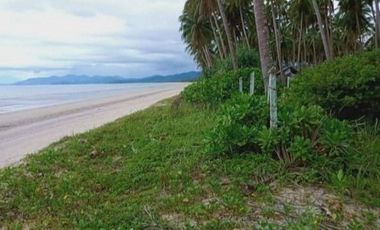 San Vicent, Palawan | Beach Lot For Sale - #4192