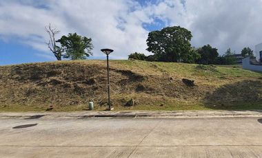 For Sale: Ayala Greenfield Estates Lot with View