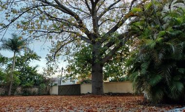 Edificio en Venta  de 1,435 M2 en Chuburna Hidalgo, Mérida Yucatán. ubicacion de privilegio