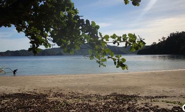 beach front property in San Vicente Palawan for Sale