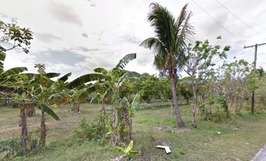 DYU - FOR SALE: 24,487 sqm Lot in Magallanes, Cavite