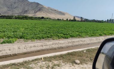4 HECTÁREAS EN HUARAL A PRECIO DE OCASIÓN