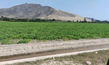 4 HECTÁREAS EN HUARAL A PRECIO DE OCASIÓN