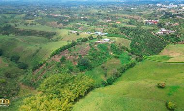 Descubre el paraíso terrenal en Finca La Hawaiana: El hogar perfecto para los amantes de la naturaleza y el confort