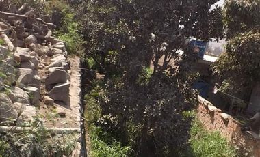 VENTA TERRENO SANTA EULALIA CASA HUERTA