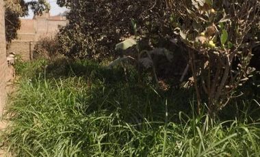 VENTA TERRENO SANTA EULALIA CASA HUERTA