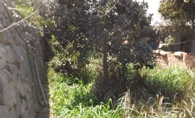 VENTA TERRENO SANTA EULALIA CASA HUERTA