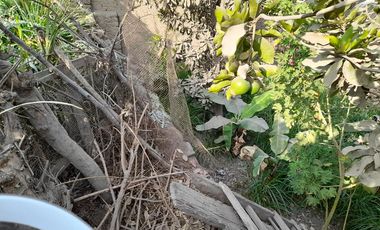 VENTA TERRENO SANTA EULALIA CASA HUERTA