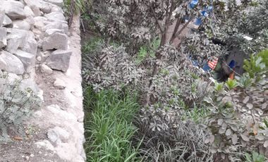 VENTA TERRENO SANTA EULALIA CASA HUERTA