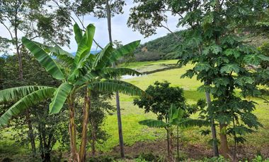 OCASION!!! SE VENDE TERRENO EN ESQUINA 800 M2 EN TARAPOTO VIVE RODEADO DE LA NATURALEZA