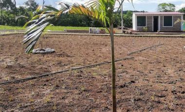 OCASION!!! SE VENDE TERRENO EN ESQUINA 800 M2 EN TARAPOTO VIVE RODEADO DE LA NATURALEZA