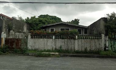 288 sqm Prime Commercial Lot for Sale in Greater Lagro, Quezon City near Lagro High School