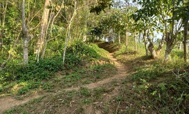 VENTA PARCELA 3.5 HECTAREAS K9 VIA A PAMPLONA VEREDA SANTA BARBARA