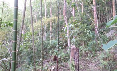 VENTA PARCELA 3.5 HECTAREAS K9 VIA A PAMPLONA VEREDA SANTA BARBARA