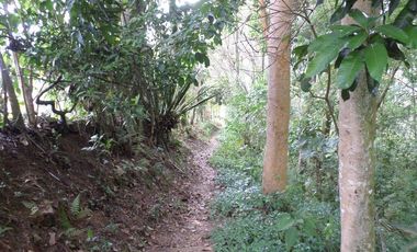 VENTA PARCELA 3.5 HECTAREAS K9 VIA A PAMPLONA VEREDA SANTA BARBARA