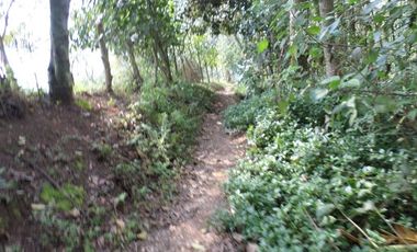 VENTA PARCELA 3.5 HECTAREAS K9 VIA A PAMPLONA VEREDA SANTA BARBARA