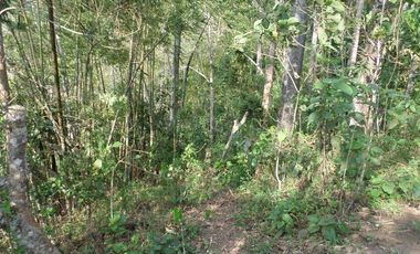 VENTA PARCELA 3.5 HECTAREAS K9 VIA A PAMPLONA VEREDA SANTA BARBARA