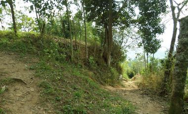 VENTA PARCELA 3.5 HECTAREAS K9 VIA A PAMPLONA VEREDA SANTA BARBARA