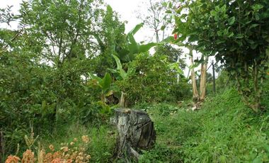 VENTA PARCELA 3.5 HECTAREAS K9 VIA A PAMPLONA VEREDA SANTA BARBARA