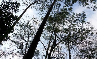 VENTA PARCELA 3.5 HECTAREAS K9 VIA A PAMPLONA VEREDA SANTA BARBARA