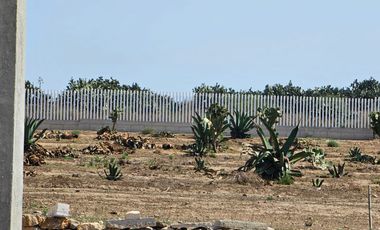 VENTA DE TERRENO EN SANTIAGO TLAPACOYA 4.1 HA