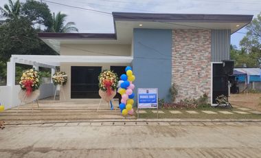 Pre-Selling One Storey 3 Bedroom Single Detached House for Sale in Balamban, Cebu
