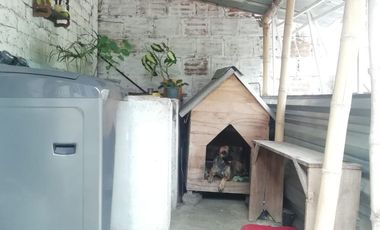 ANDALUCIA, SE VENDE CASA DE UN PISO CON PATIO AMPLIO