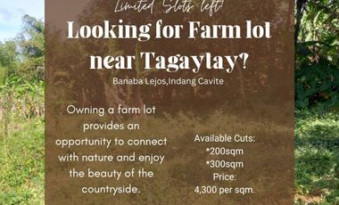 Farm lot for sale near Tagaytay, Biyaya Farm in Indang Cavite, Near Cavite State university (main) and Municipal Hall